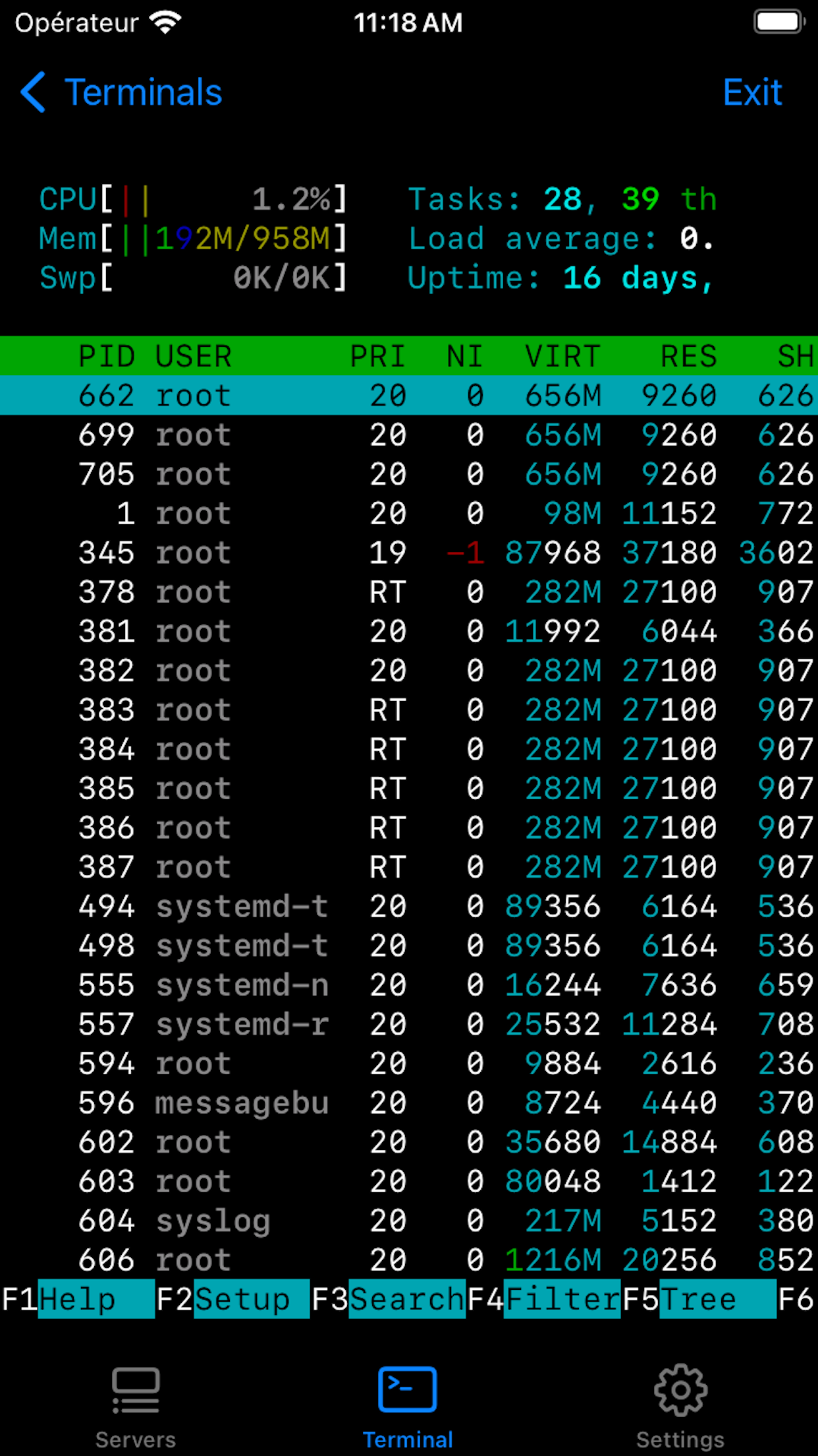 Terminal# screenshot 2