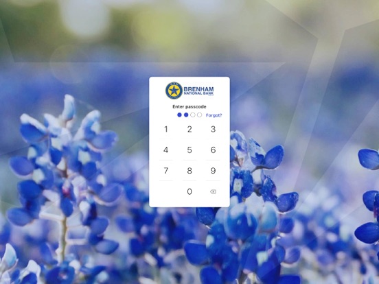 Brenham National Bank iPad screenshot 2 - Finance app