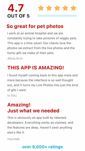 Lively - Photos to GIF screenshot 5