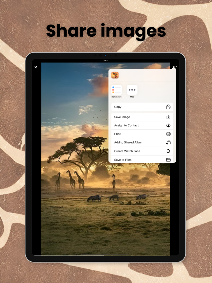 African Proverbs by Topic