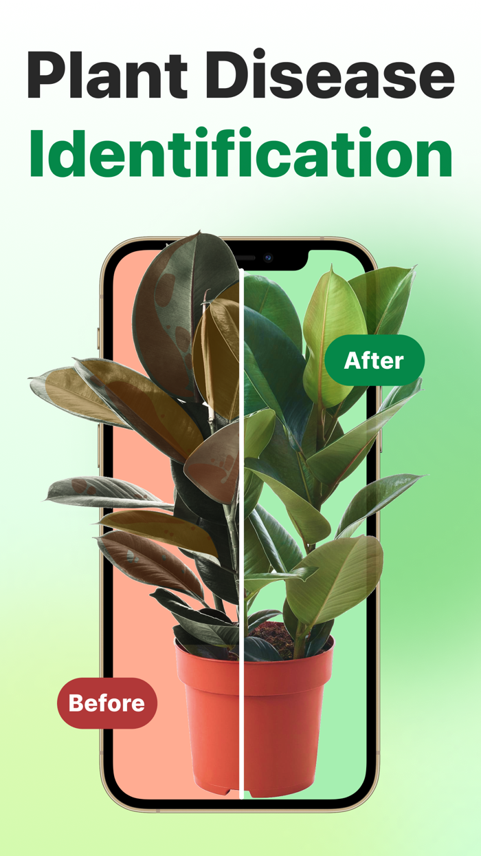 Plant ID Nature Identifier AI