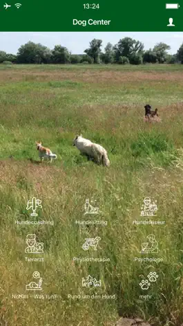 Game screenshot Dog Center mod apk