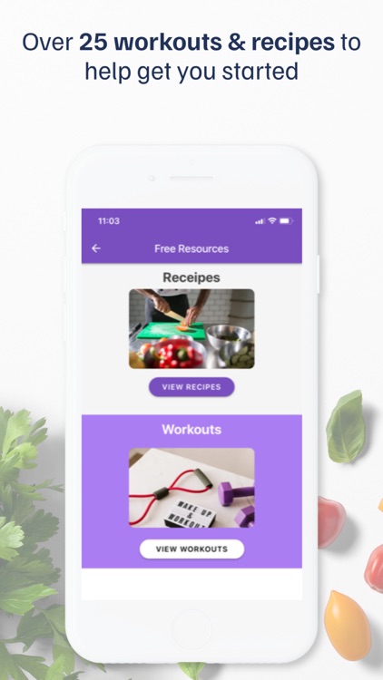 Synergized Fitness 2.0