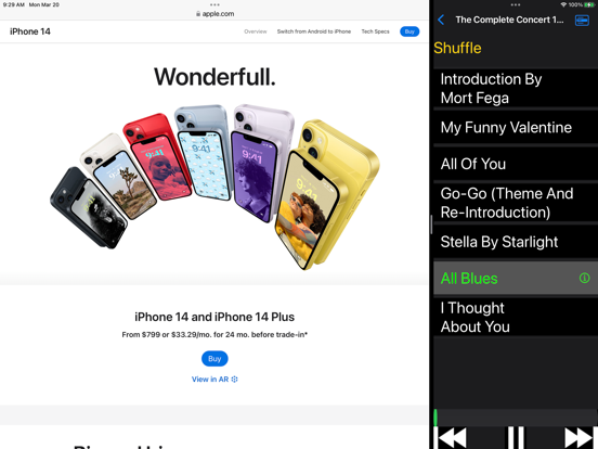 One Big Player iPad screenshot 3 - Music app
