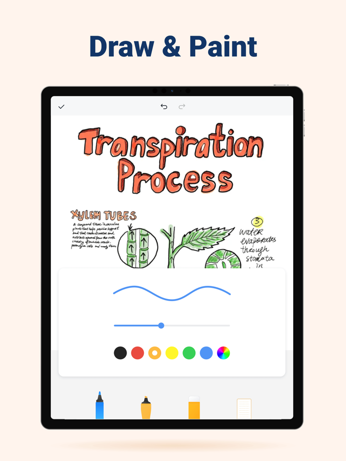 Tidy Notes - Color Notebook