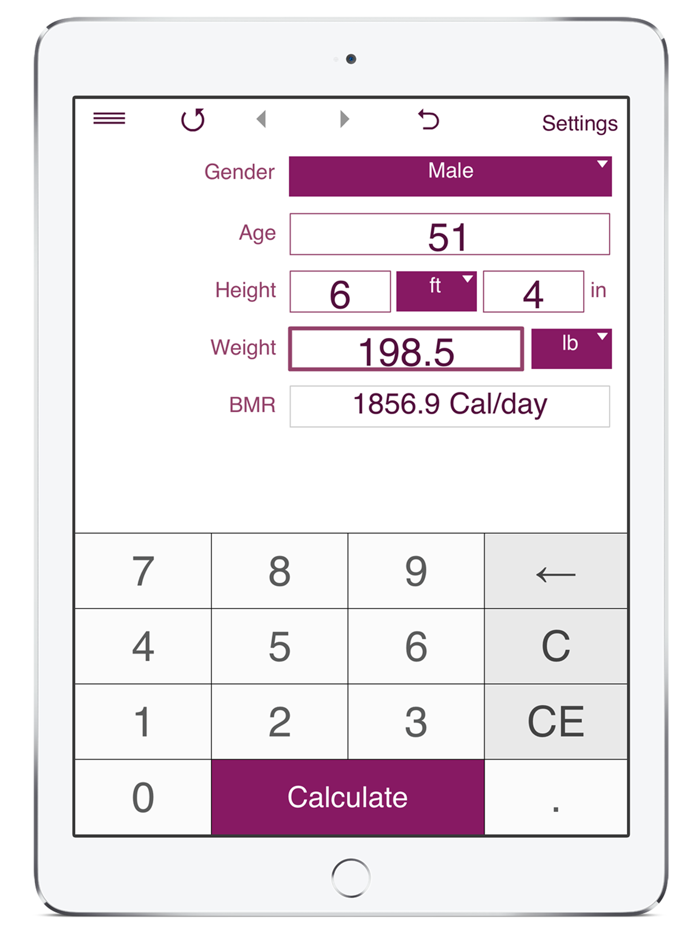TDEE Calculator  BMR  BMI