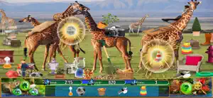 Hidden Objects Animal Kingdom screenshot #2 for iPhone