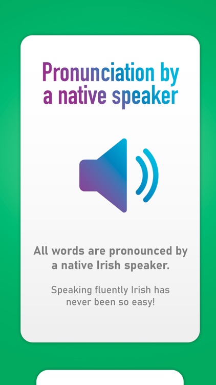 FlashLearn Irish Gaelic 2024