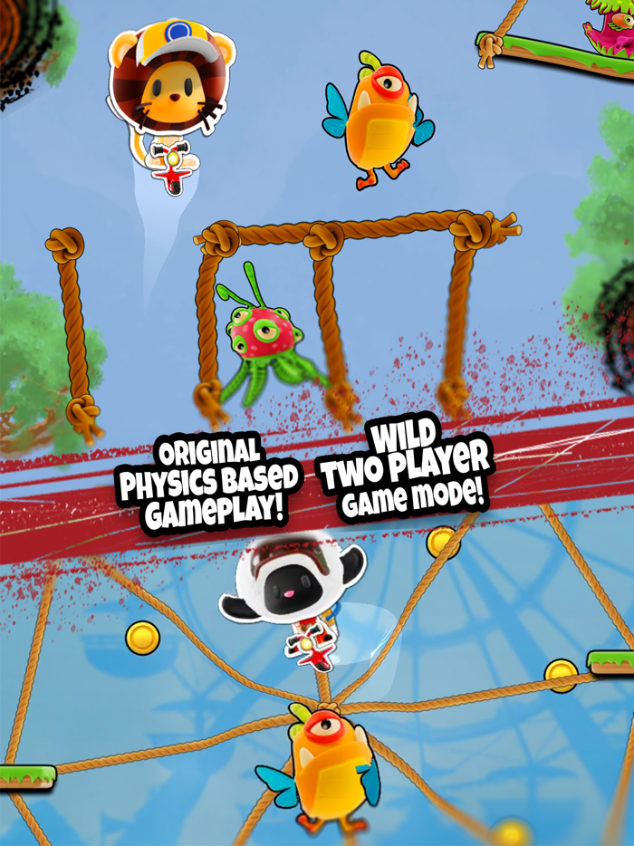 Loco Pets Fox and Cat co op