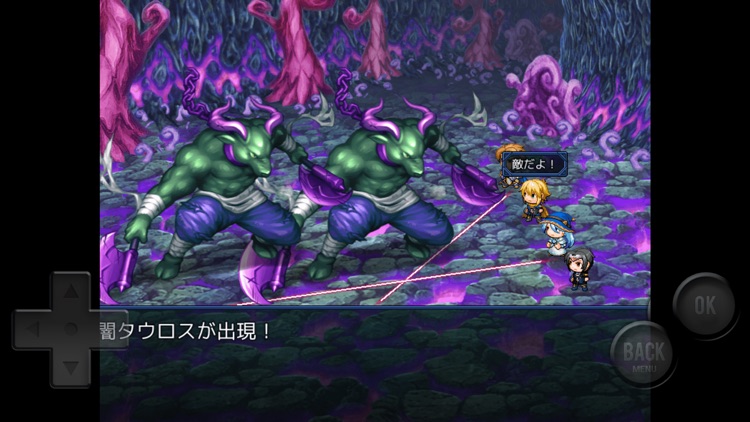 俺は勇者なんかじゃない screenshot-6