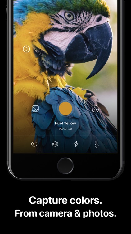 Cone Color Picker & Identifier