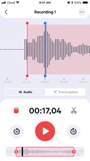 voice recorder: audio memos iphone screenshot 3