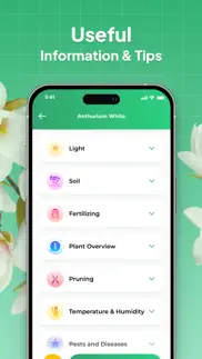 leafsnap-plant identification iphone screenshot 4