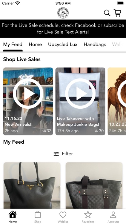 That Crazy Handbag Lady