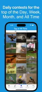Photo Awards screenshot #7 for iPhone