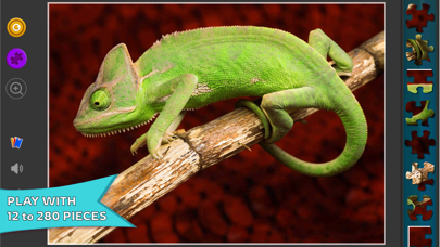 Jigsaw HD - Fun Puzzle Game Screenshot