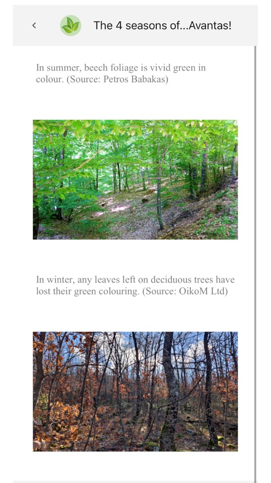 #5. NECCA Evros Interpretation (iOS) 由: OIKOM