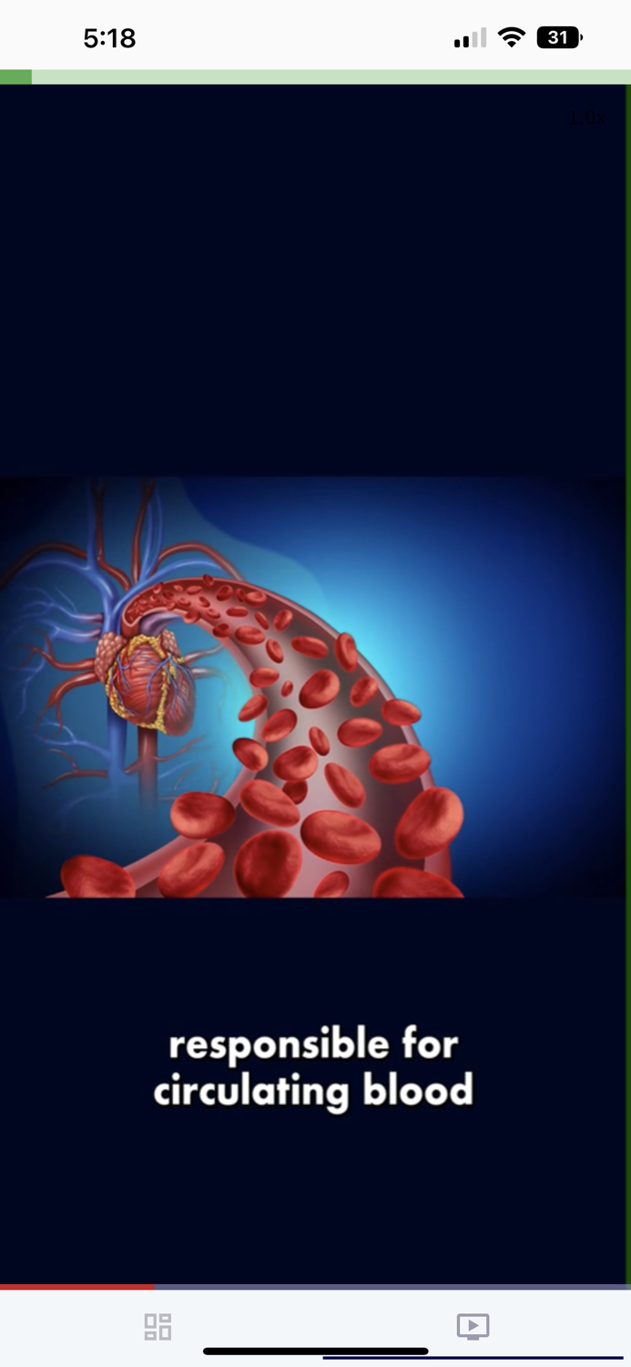 TEAS-Tok - ATI TEAS Exam Prep