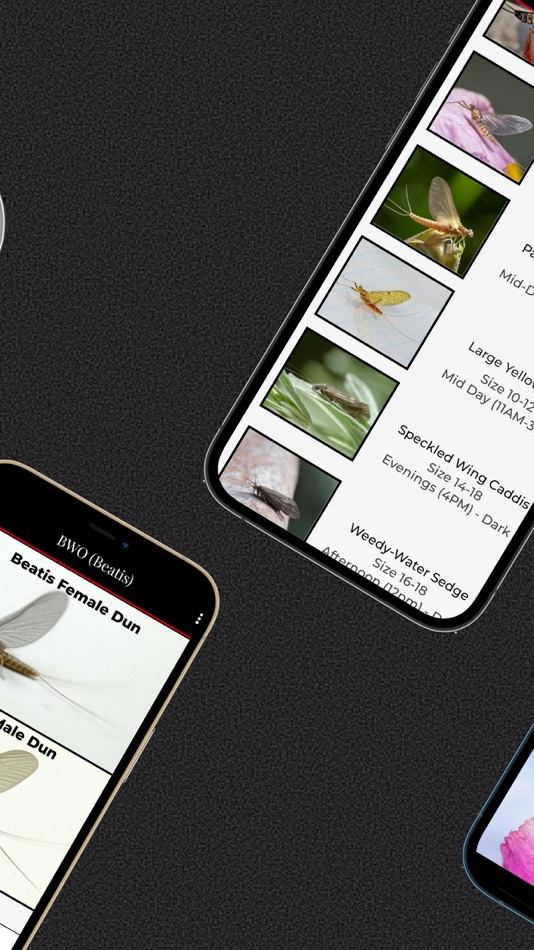 #3. Lateral Lines (iOS) 由: The Portland Fly Shop LLC