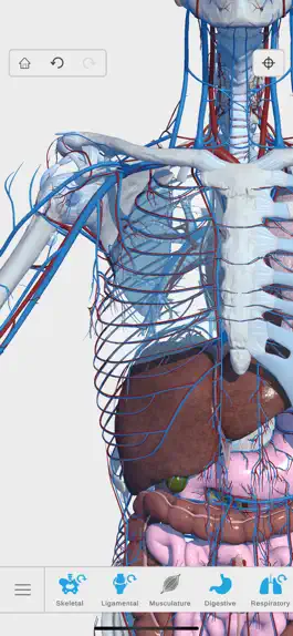 Download Visual Anatomy 3D - Human Game screenshot Visual Anatomy 3D - Human hack