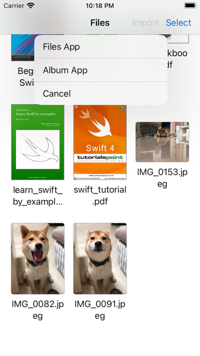PDF Export Screenshot