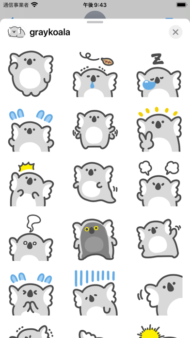 gray koala sticker Screenshot