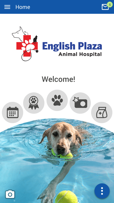 English Plaza Animal Hospital Screenshot