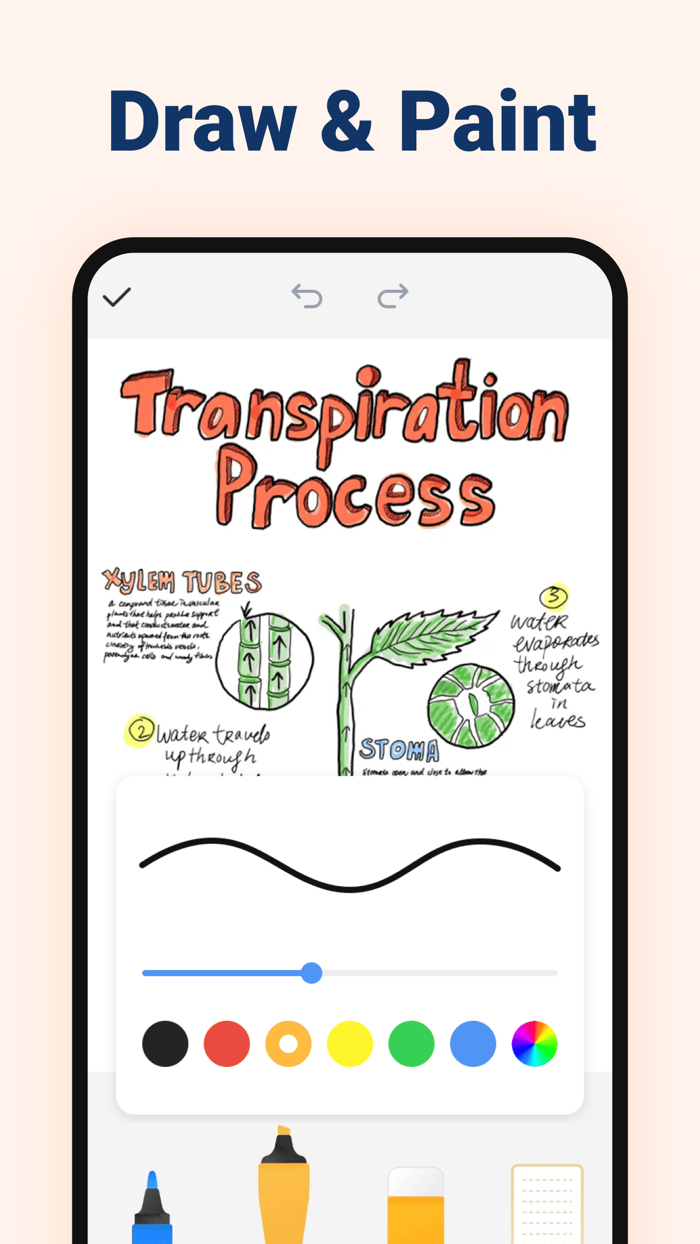 Tidy Notes - Color Notebook