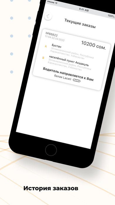 Taxi Plus UZ Screenshot