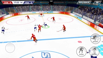 Hockey All Stars Screenshot