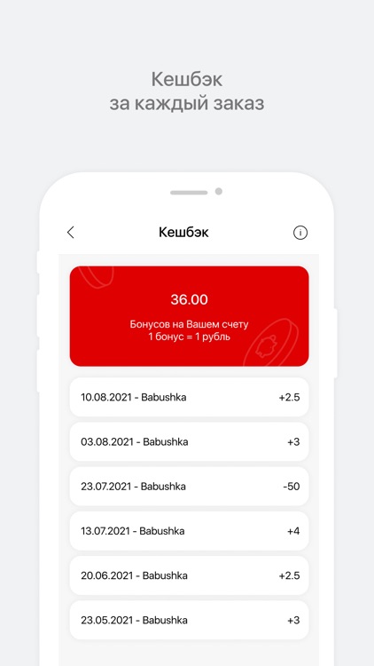 Babushka screenshot-5