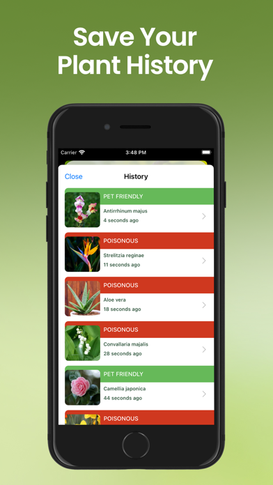 Pet Protect Plan: Toxic Plant Screenshot