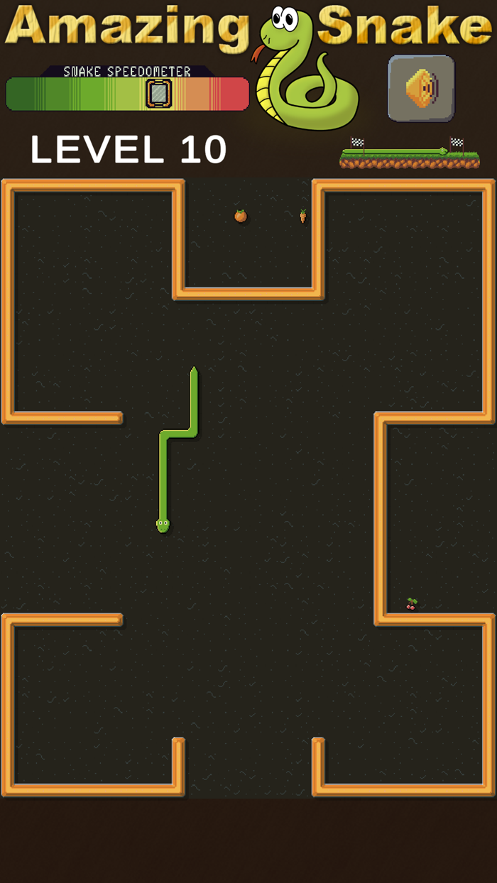 Amazing Snake Fruity Adventure