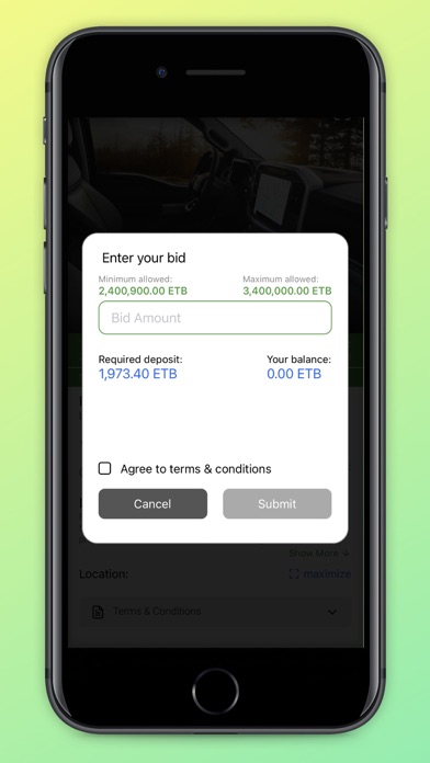 Auction Ethiopia Screenshot