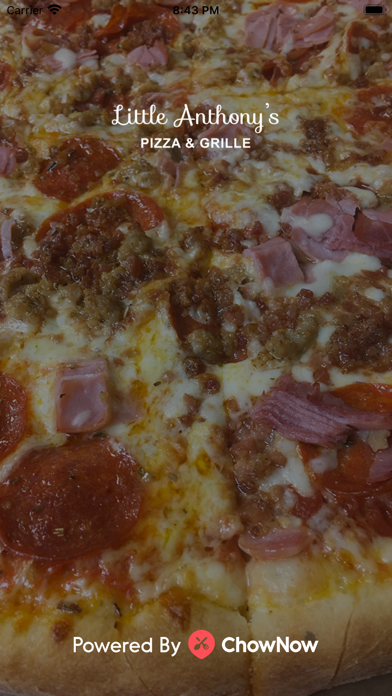 Little Anthony's Pizza Screenshot