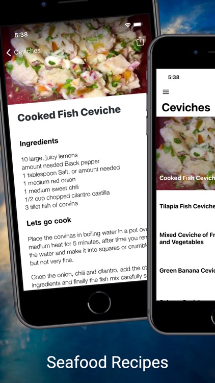 Easy and tasty seafood recipes screenshot-4