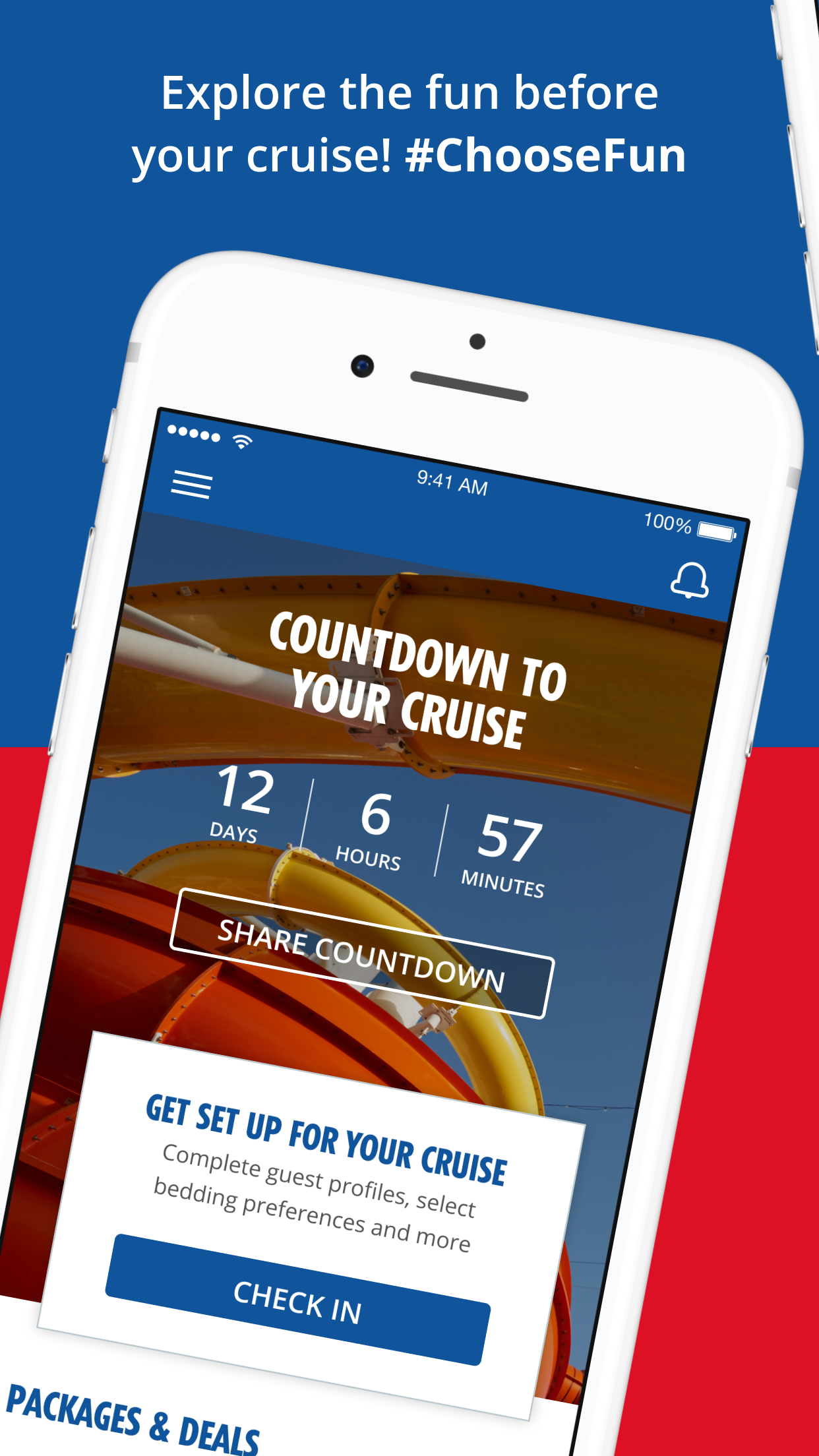 Carnival HUB screenshot 1