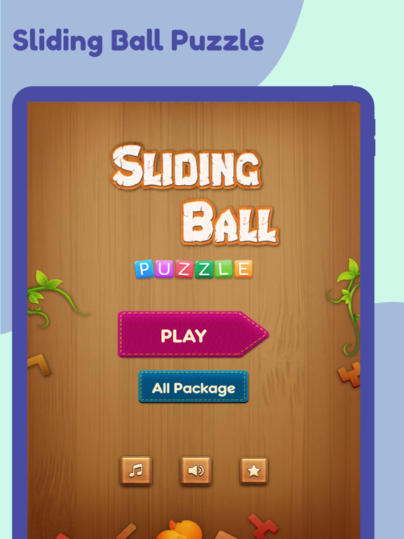 Sliding Ball Puzzles Game