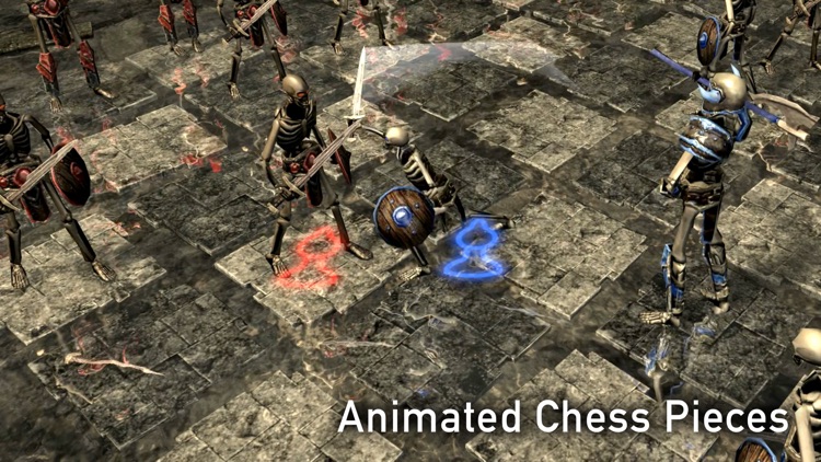 Wizard's Battle Chess screenshot-0