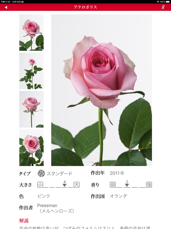 Screenshot #5 pour 切り花 バラ図鑑 1000