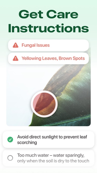 Plant Identifier: Care & Tips Screenshot