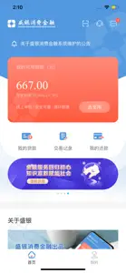 盛银消费金融 screenshot #1 for iPhone