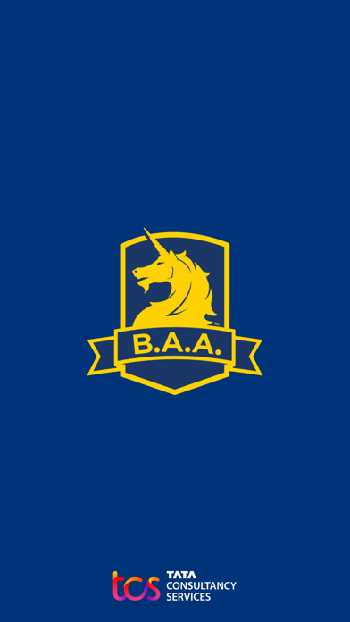 B.A.A. Racing screenshot 1