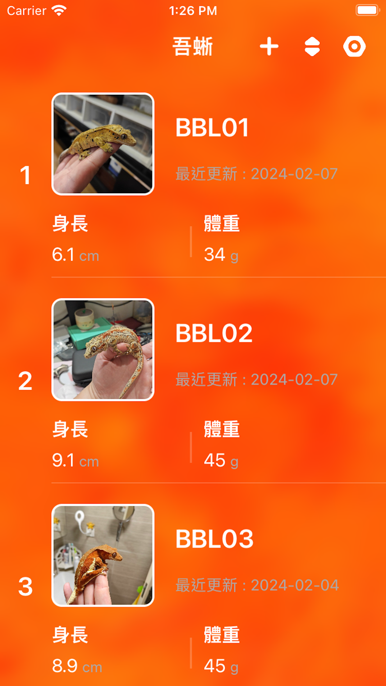 小学同步四年级