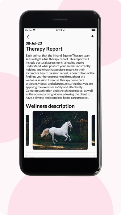 Inhand Equine Therapy Screenshot