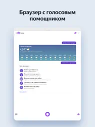 Yandex Browser for iPad ipad bilder 2