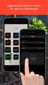 mutfak zamanlayıcısı . iphone resimleri 3