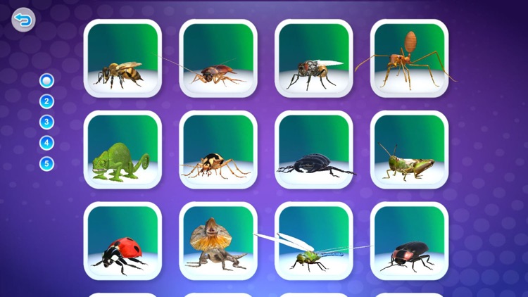 Fantasy Insect Reptile Park