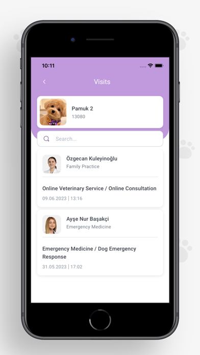 VetAmerikan Screenshot