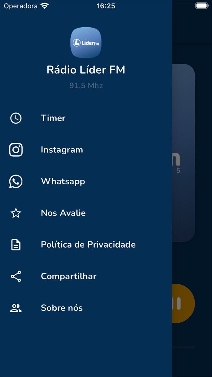 Rádio Líder FM 91.5